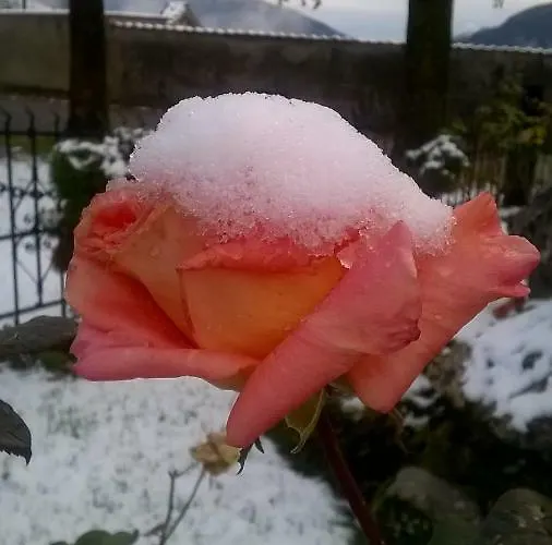 فندق مبيت وإفطار Casa Torre 3*