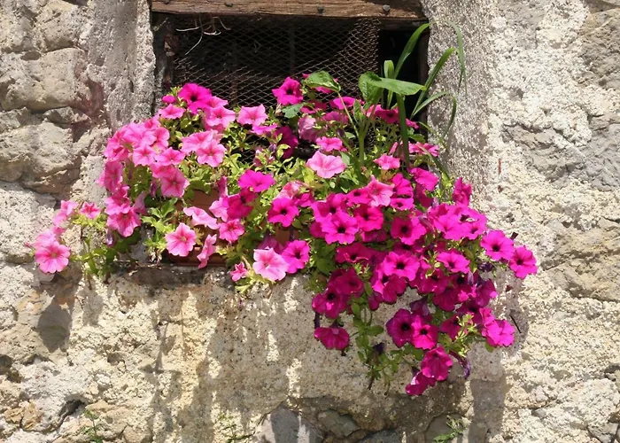 Casa Torre Ono Degno